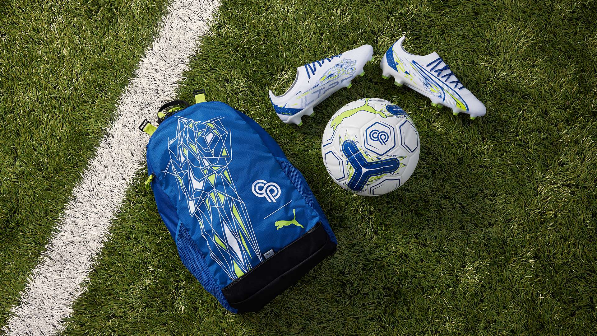 敲响了警钟 敲响了警钟