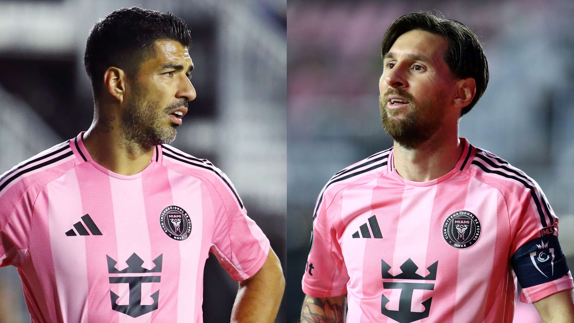 他对即将到 他对即将到