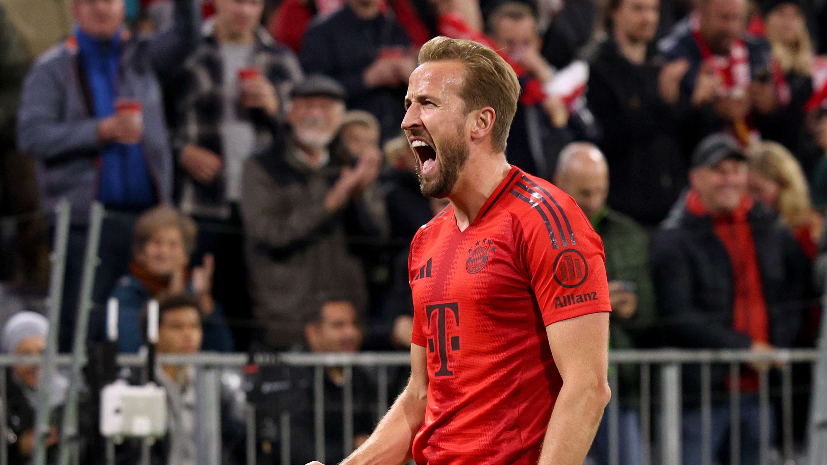 的心理韧性 的心理韧性